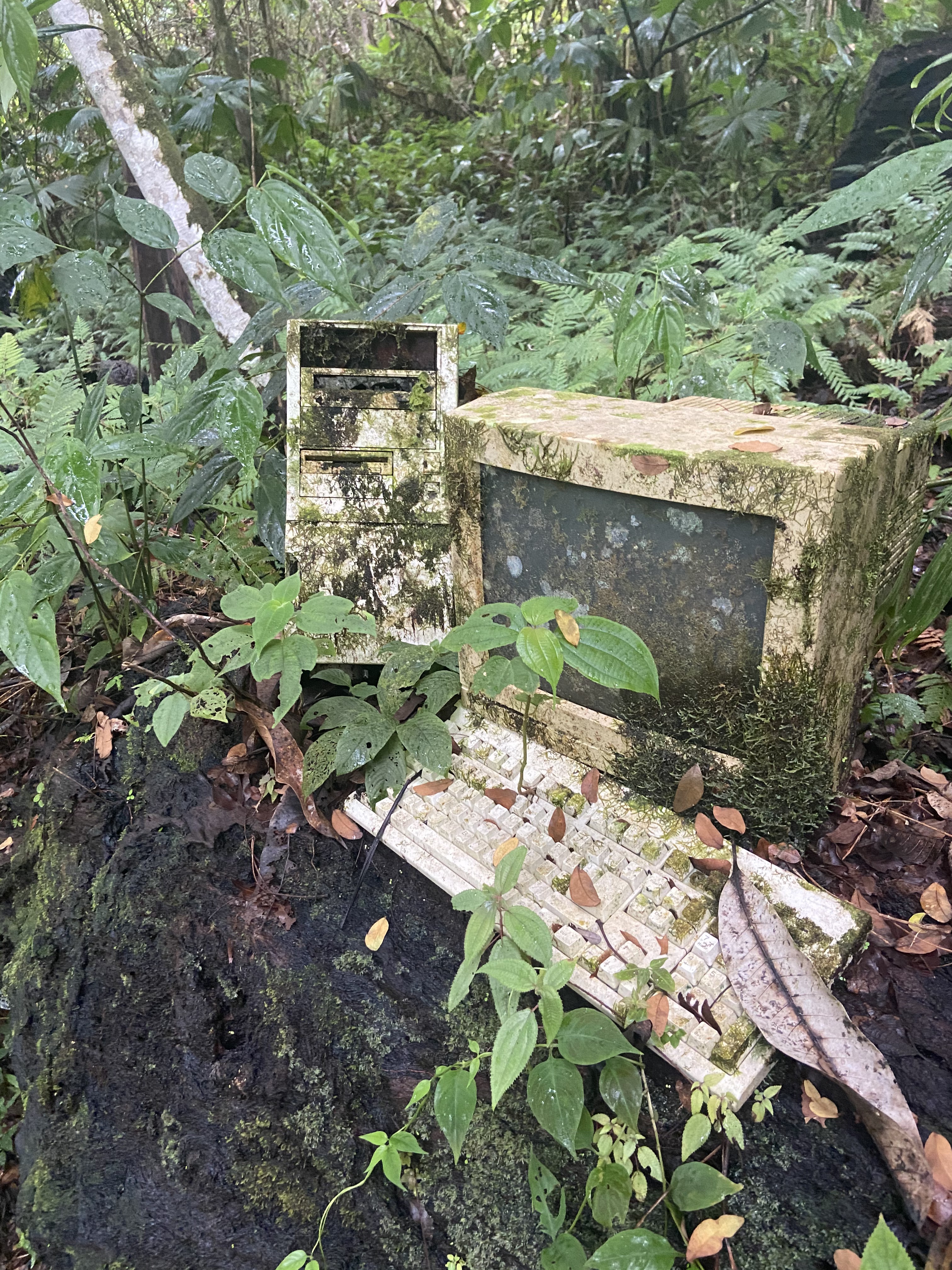 IBM Jungle PC